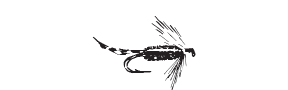 d43 - fishing lure