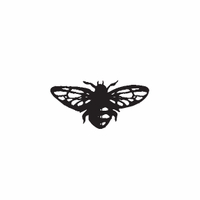 d52 - big fly