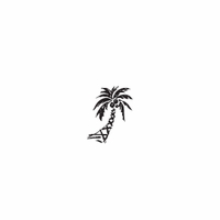 d65 - palm tree