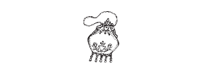 d66 - vintage purse