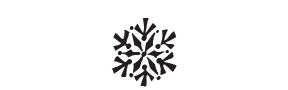 d80 - snowflake