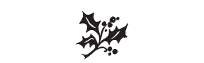 d81 - holly