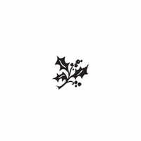 d81 - holly