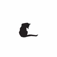 d9 - cat