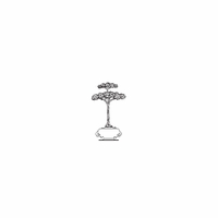 d94 - bonsai tree