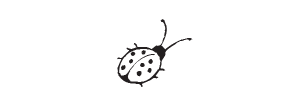 d97 - ladybug