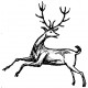 dancing deer