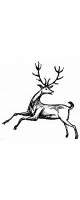 dancing deer