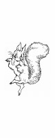 dancing squirrel