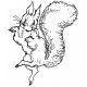 dancing squirrel