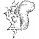 dancing squirrel