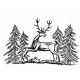 deer in forest