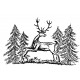 deer in forest