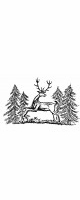 deer in forest
