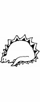 dinosaur 2