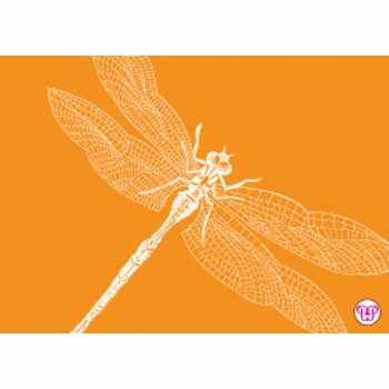 dragonfly enclosure card