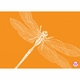 dragonfly enclosure card