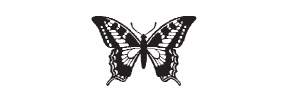 e11 - butterfly