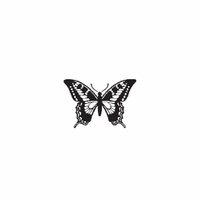 e11 - butterfly