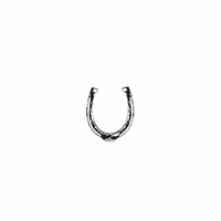 e13 - horseshoe