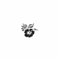 e15 - hibiscus