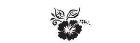 e15 - hibiscus