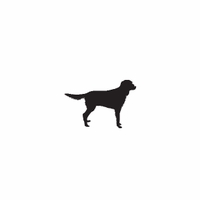 e18 - retriever