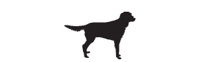 e18 - retriever