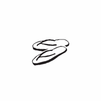 e2 - flip flops