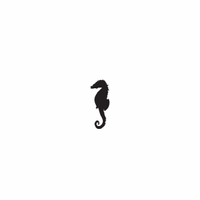 e21 - seahorse
