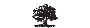 e28 - maple tree