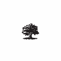 e28 - maple tree