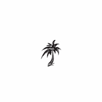 e30 - palm tree