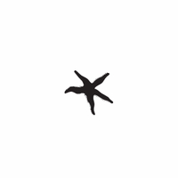 e32 - starfish