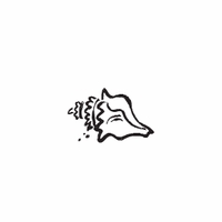 e35 - conch shell