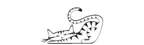 e38 - kitten