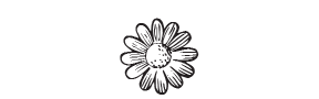 e4 - daisy