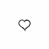e45 - heart