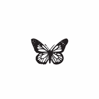 e6 - butterfly