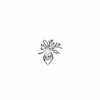 e62 - ornament