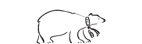 e69 - polar bear