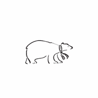 e69 - polar bear