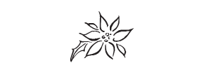 e72 - poinsettia