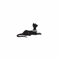 e76 - feline