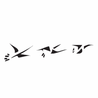 e77 - cranes