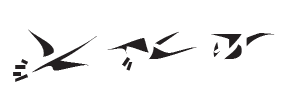 e77 - cranes