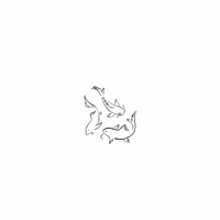 e79 - koi fish