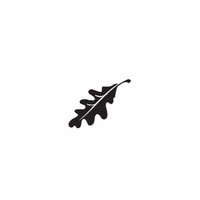 e9 - oak leaf