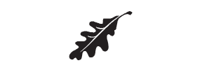 e9 - oak leaf