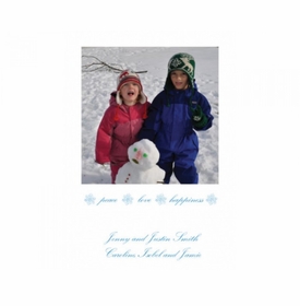 Elegant Peace Blue Holiday Cards